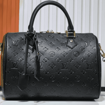 louis Vuitton Inspired bag